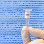 Генетический код, полностью сгенерированный компьютером, может стать основой новых форм синтетической жизни